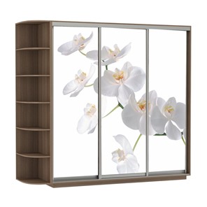Шкаф 3-створчатый Экспресс со стеллажом, 2100х600х2200, Орхидея белая/шимо темный в Кемерово