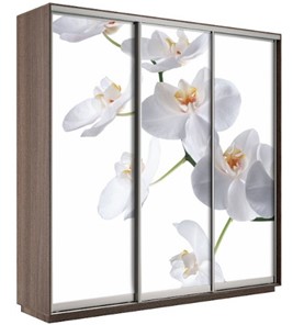 Шкаф 3-дверный Экспресс 2400х600х2200, Орхидея белая/шимо темный в Кемерово