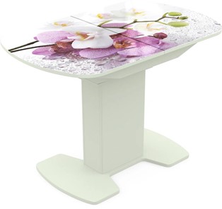 Кухонный стол раскладной Корсика исп. 2 Фотопечать (Цветы №44) 1200(1515)*800 в Кемерово