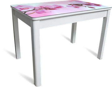 Кухонный раздвижной стол Айсберг-02 СТФ, белое лдсп/орхидея/40 прямые массив белые в Кемерово