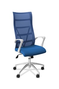 Кресло офисное Топ X белый каркас, сетка/ткань TW / синяя/голубая в Кемерово