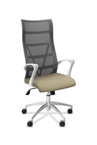 Офисное кресло для руководителя Топ X белый каркас, сетка/ткань TW / серая/светло-серая в Кемерово
