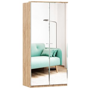 Шкаф двухстворчатый с 2-мя зеркалами Фиджи, 659.238, цвет белый в Кемерово