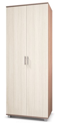 Шкаф 2-дверный Е-20, Ясень шимо светлый/темный в Кемерово - изображение
