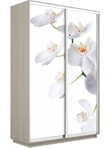 Шкаф 2-х створчатый Экспресс 1400x600x2200, Орхидея белая/шимо светлый в Кемерово