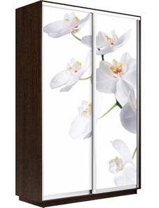 Шкаф 2-х створчатый Экспресс 1400x600x2400, Орхидея белая/венге в Кемерово