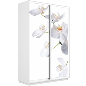 Шкаф Экспресс 1600x450x2400, Орхидея белая/белый снег в Кемерово