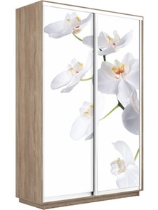 Шкаф 2-створчатый Экспресс 1600x450x2400, Орхидея белая/дуб сонома в Кемерово