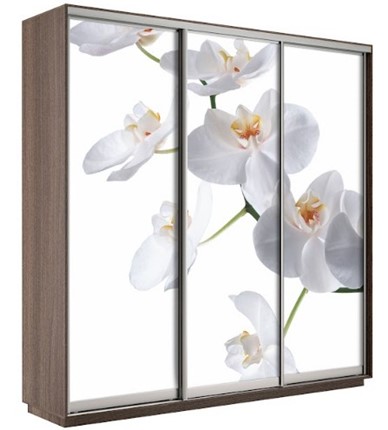 Шкаф Экспресс 1800х600х2200, Орхидея бела/шимо темный в Новокузнецке - изображение