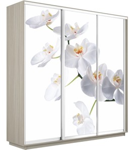 Шкаф 3-х створчатый Экспресс 2400х600х2400, Орхидея белая/шимо светлый в Кемерово - предосмотр