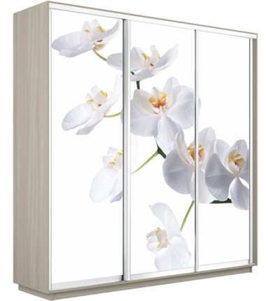 Шкаф 3-х створчатый Экспресс 2400х600х2400, Орхидея белая/шимо светлый в Кемерово - изображение