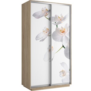 Шкаф 2-дверный Хит 1200x600x2200, белая орхидея, ясень шимо светлый в Кемерово