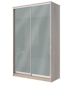 Шкаф 2-х створчатый Хит-22-14-22 с цветным стеклом, средне-серый 074, Дуб сонома в Кемерово