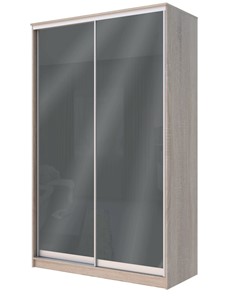 Шкаф 2-х дверный Хит-22-4-12/2-22 с цветным стеклом, темно-серый 073, Дуб сонома в Кемерово