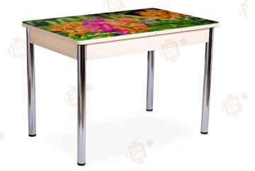 Кухонный раскладной стол Айсберг-02 СТФ, Дуб ЛДСП/полевые цветы/ноги хром прямые в Кемерово