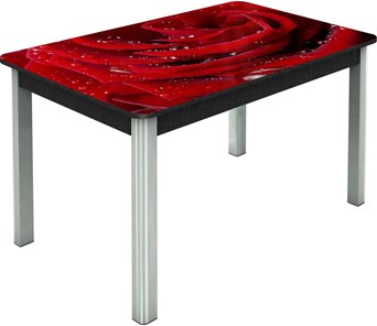 Кухонный стол раздвижной Гамбург исп. Мини, ноги метал. крашеные №23, Фотопечать (Цветы №39) в Кемерово