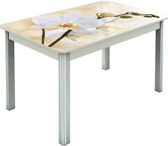 Кухонный раздвижной стол Гамбург исп.2 ноги метал. крашеные №23, Фотопечать (Цветы №5) в Кемерово