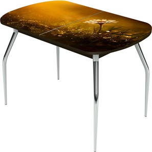 Кухонный стол раскладной Ривьера исп.2 ноги метал. крашеные №24 Фотопечать (Цветы №43) в Кемерово