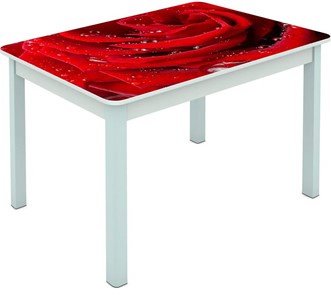 Обеденный стол Мюнхен исп. 1 ноги метал. крашеные №23 Фотопечать (Цветы №39) в Кемерово