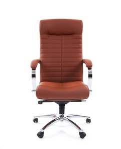 Офисное кресло CHAIRMAN 480 Экокожа Terra 111 (коричневая) в Кемерово - предосмотр 1