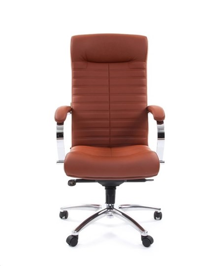 Офисное кресло CHAIRMAN 480 Экокожа Terra 111 (коричневая) в Кемерово - изображение 1