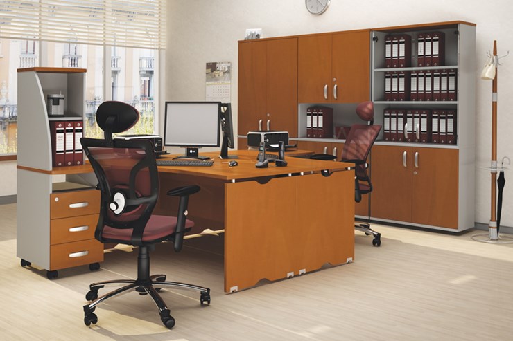 Офисный комплект мебели Милан для 2 сотрудников с тумбочками и большим шкафом в Кемерово - изображение