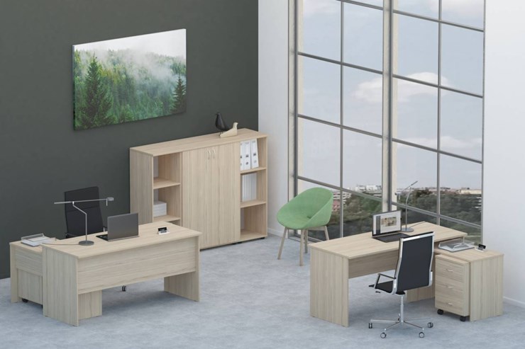 Офисный набор мебели Twin для 2 сотрудников со шкафом для документов в Кемерово - изображение