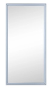 Зеркало навесное Ника (Серый) 119,5 см x 60 см в Кемерово
