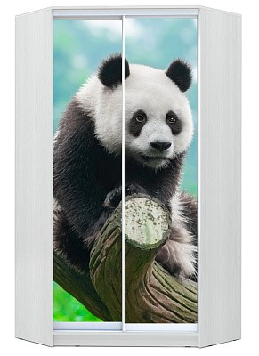 Шкаф угловой Хит-У-24-4-77-29, Панда, Белый в Кемерово - изображение