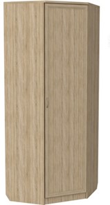 Распашной шкаф 400 угловой, цвет Дуб Сонома в Кемерово - предосмотр
