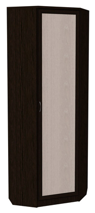 Распашной шкаф 402 угловой со штангой, цвет Венге в Кемерово - изображение