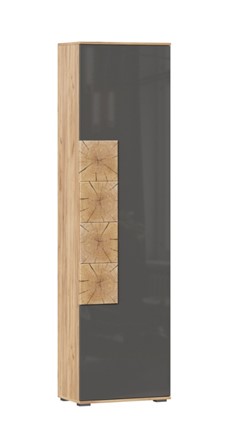 Шкаф одностворчатый Фиджи с декоративными накладками 659.300, Дуб Золотой/Антрацит в Кемерово - изображение