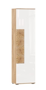 Шкаф одностворчатый Фиджи с декоративными накладками 659.300, Дуб Золотой/Белый в Кемерово