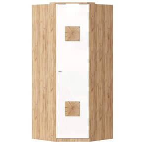 Шкаф угловой 45 с декоративной накладкой Фиджи, 659.248, белый в Кемерово - предосмотр