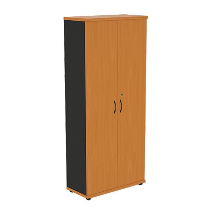 Шкаф 2-дверный Моно-Люкс R5S05 в Кемерово - изображение